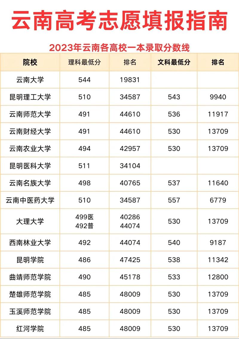 云南大学录取分数线2024