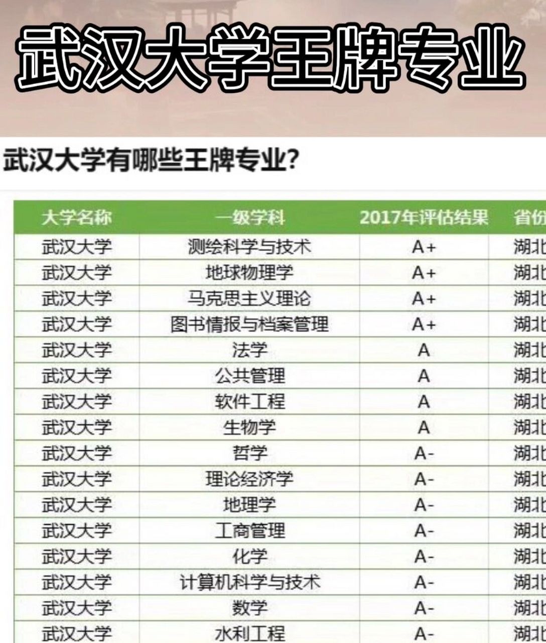 湖北大学王牌专业