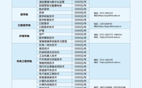 湖北职业技术学院多少分能上