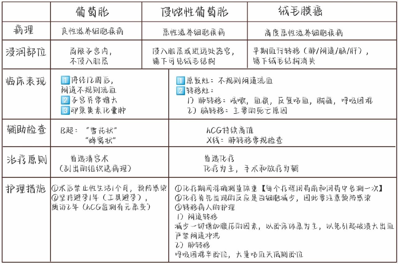 护自考病理吗