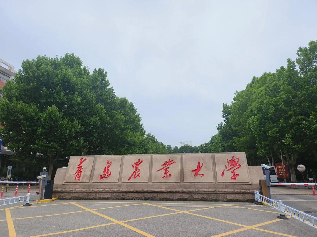 青岛农业大学智慧校园