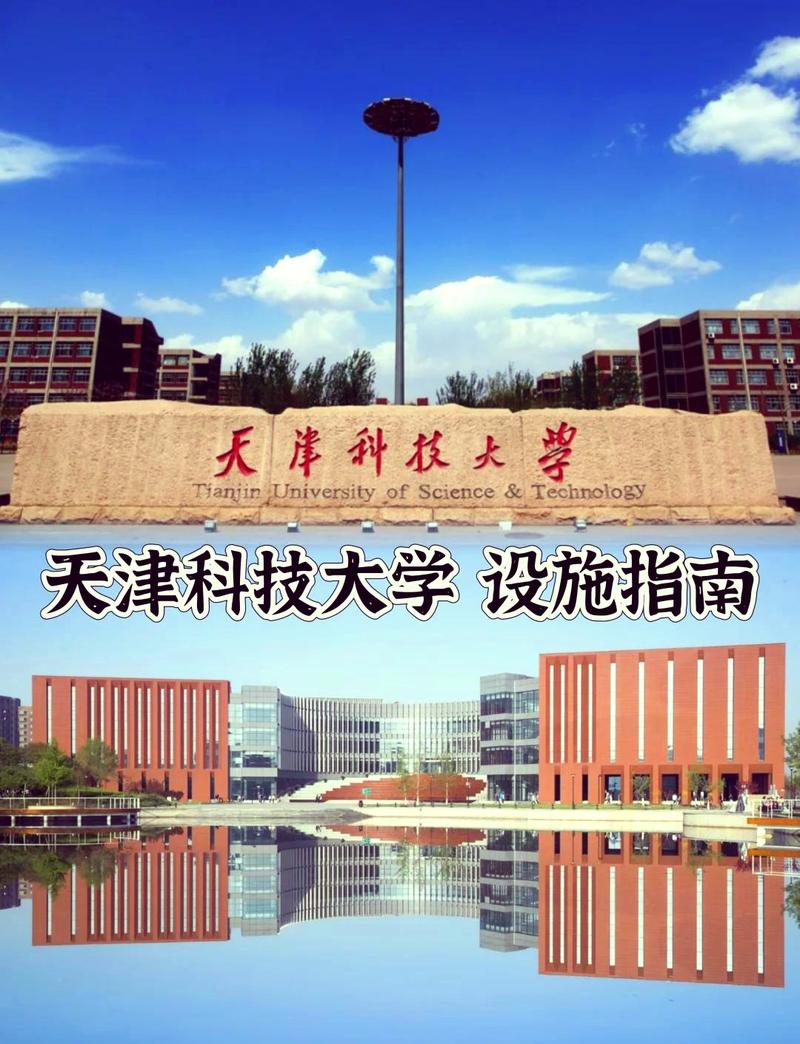 天津科技大学地址