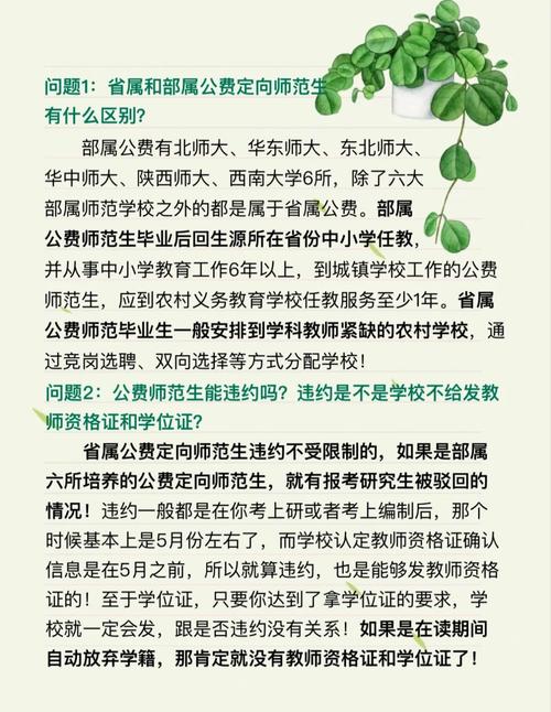 定向师范生就是个坑