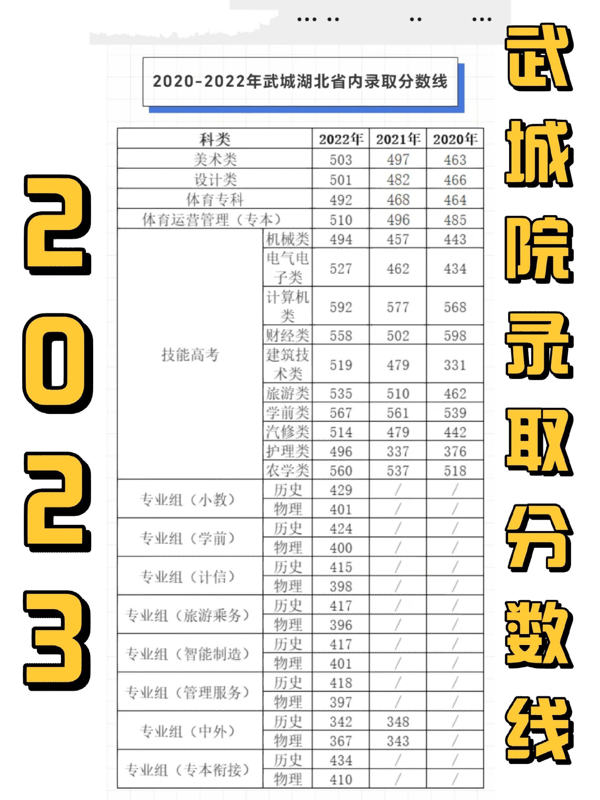 武汉城市职业学院分数线