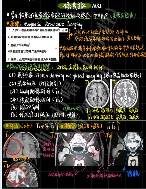 学医学影像学后悔了