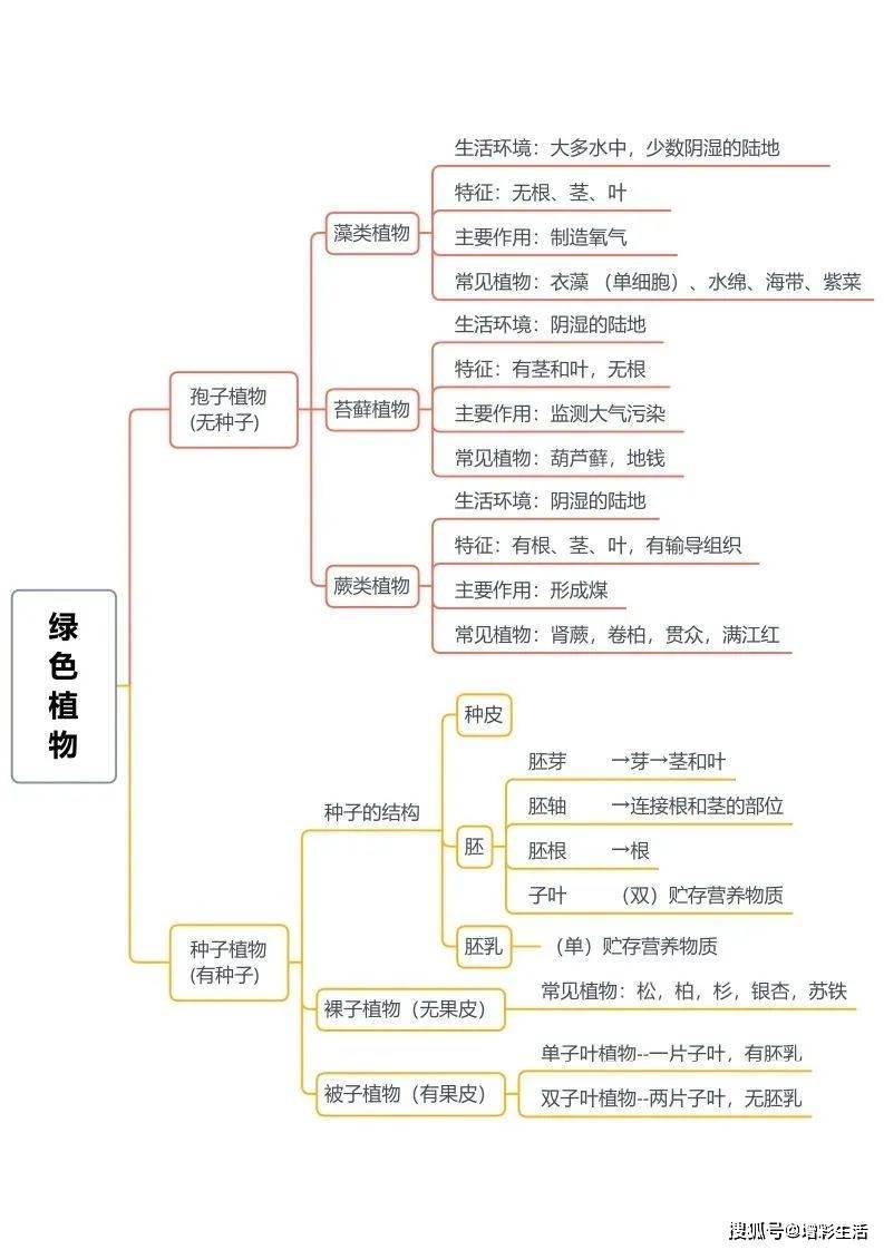 生物最完整的分类图