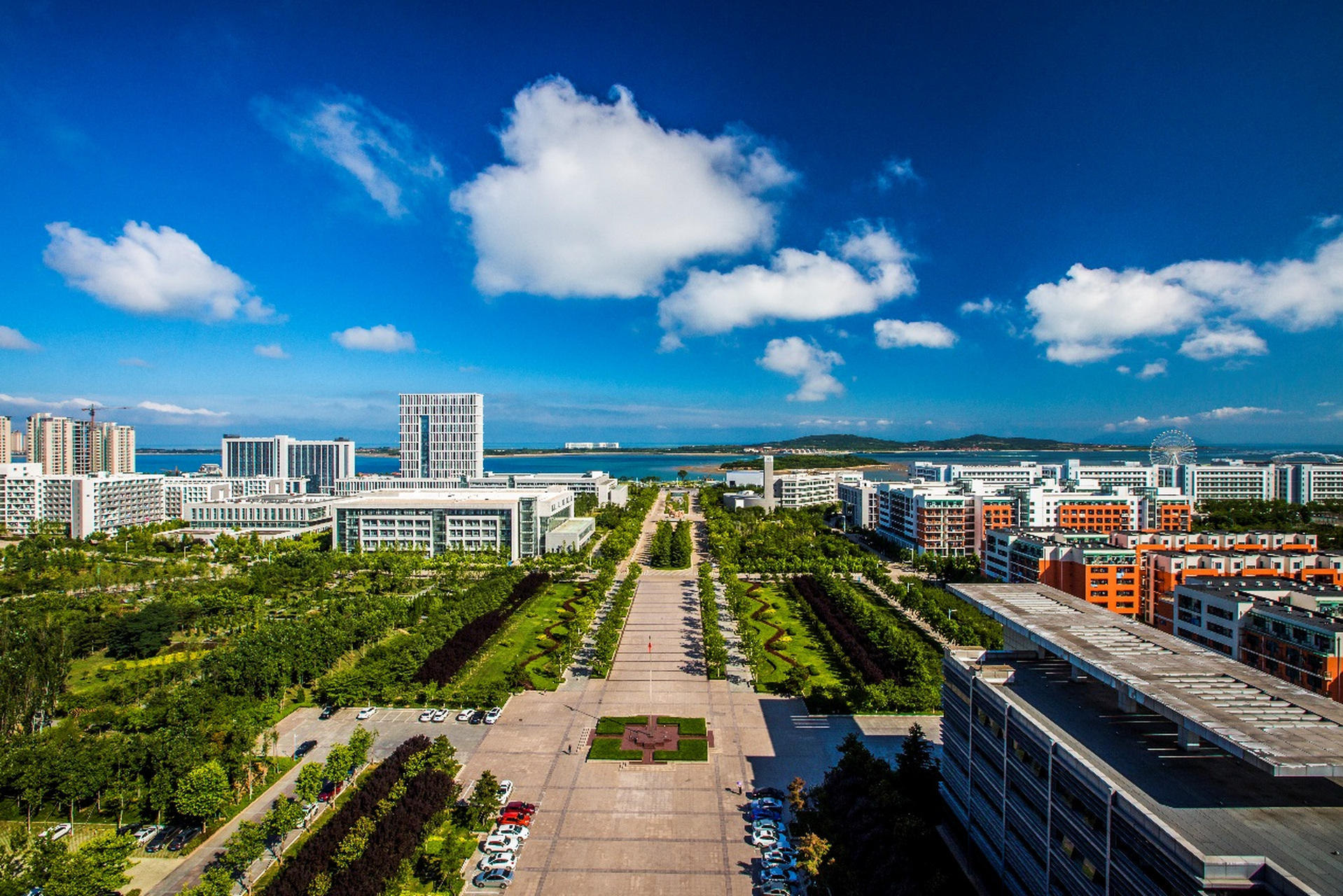 青岛石油大学