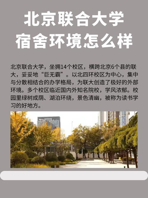 北京联合大学中外合作办学