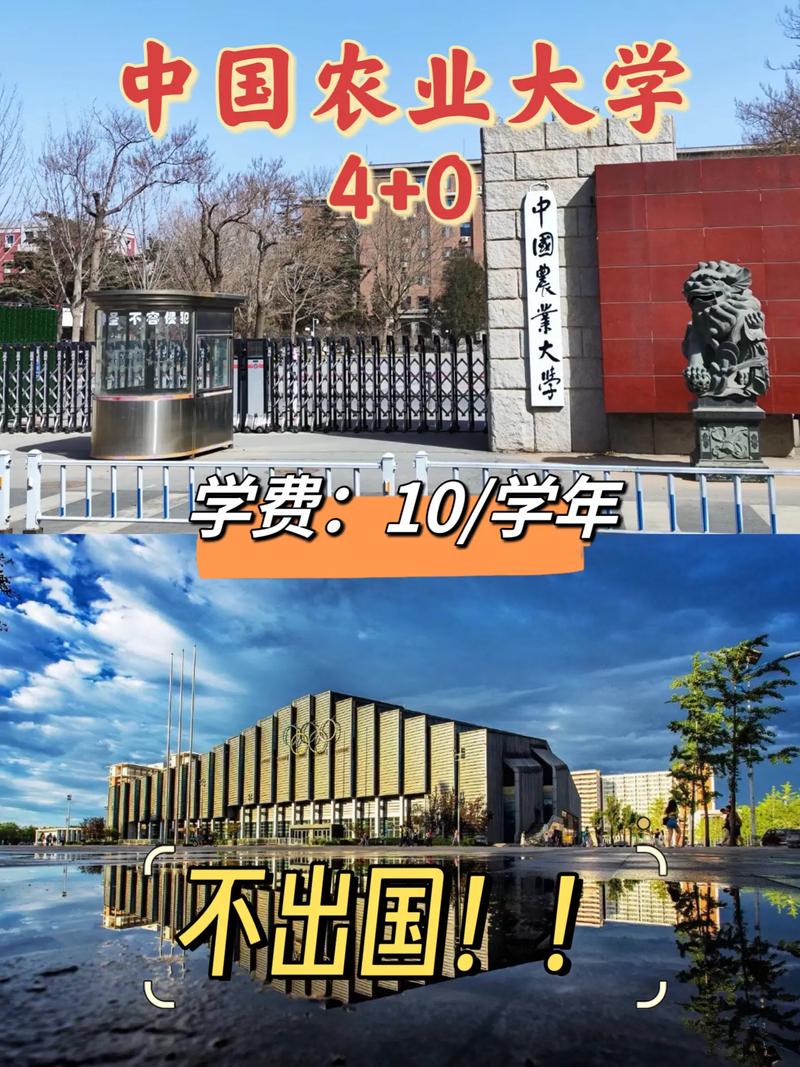 中国农业大学中外合作办学