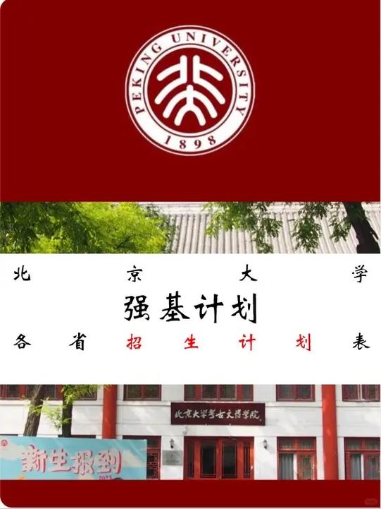 北京大学强基计划