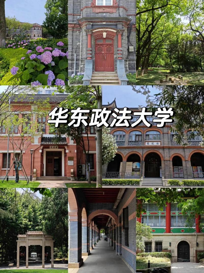 华东政法大学是双一流吗