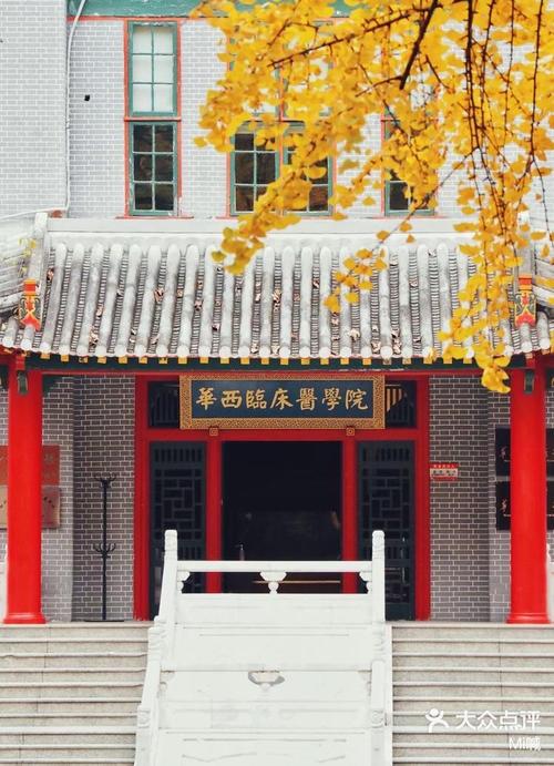 成都大学临床医学