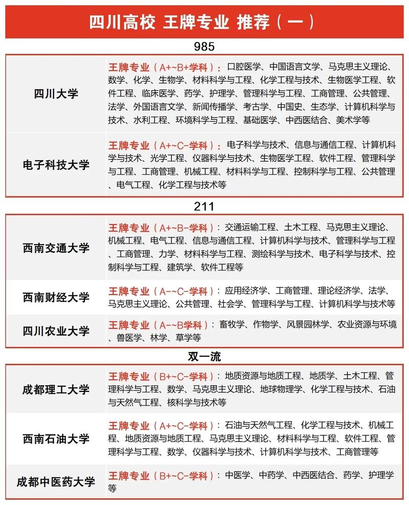 四川大学王牌专业