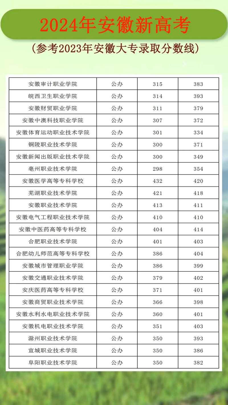 2024年大专分数线