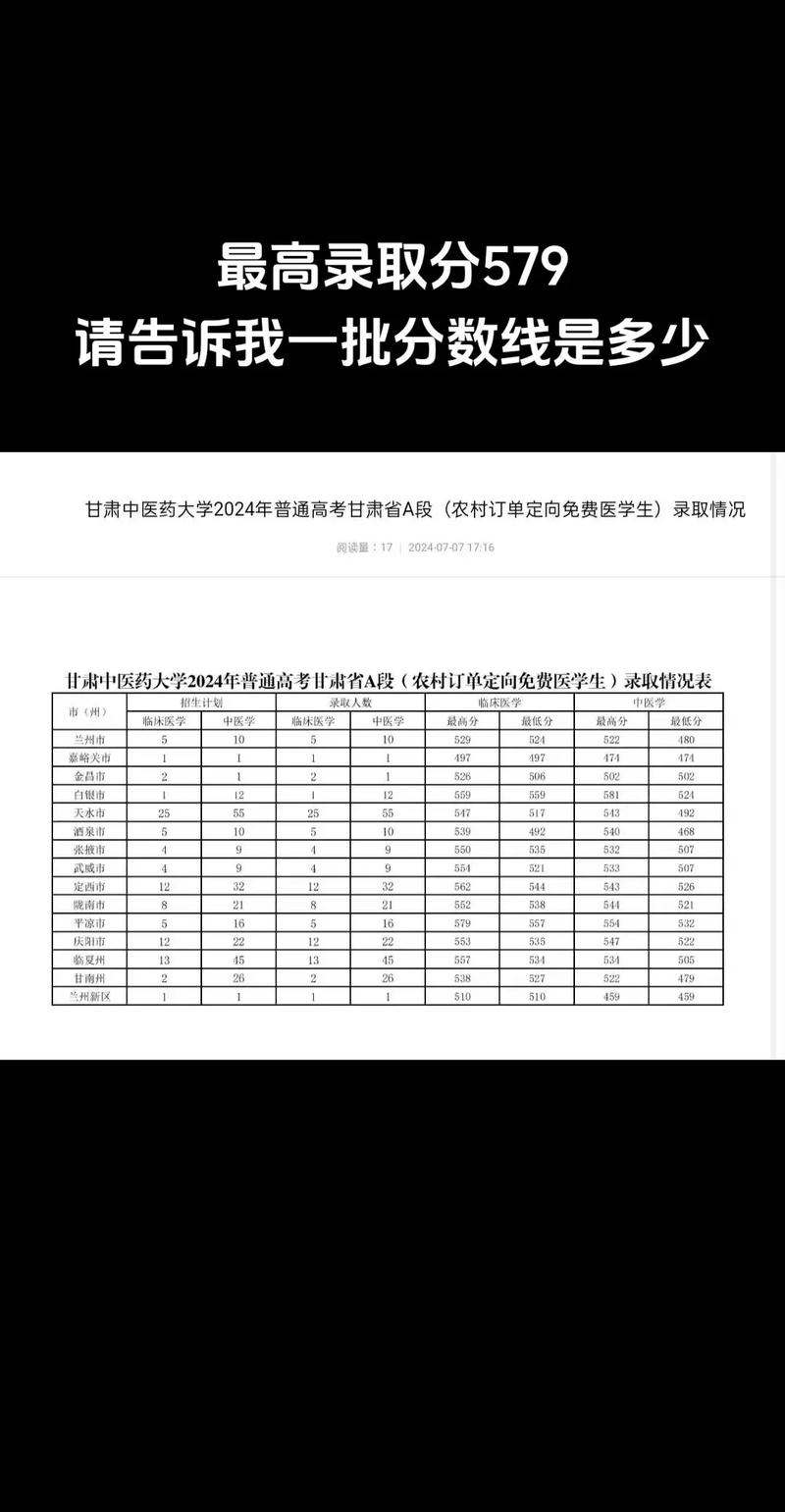 兰州中医学院2024录取分数线