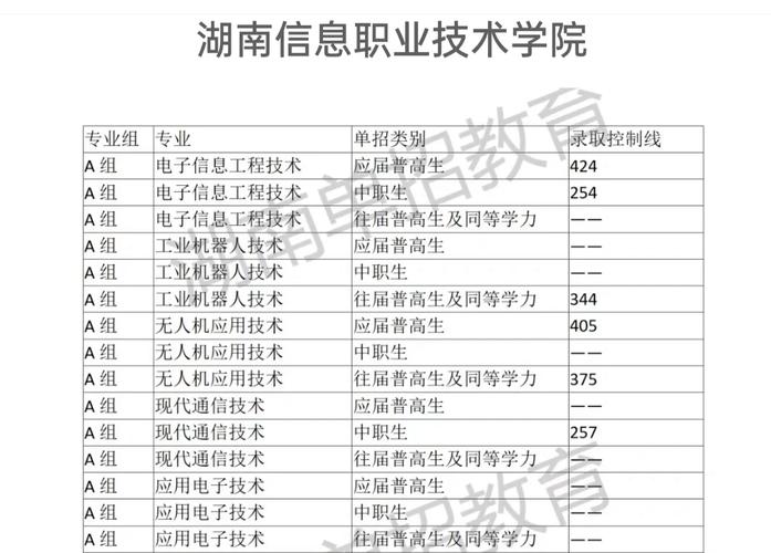 湖南信息职业技术学院分数线