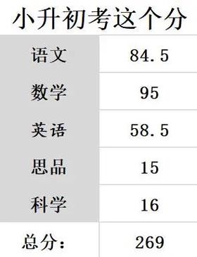 东华中学小升初分数线