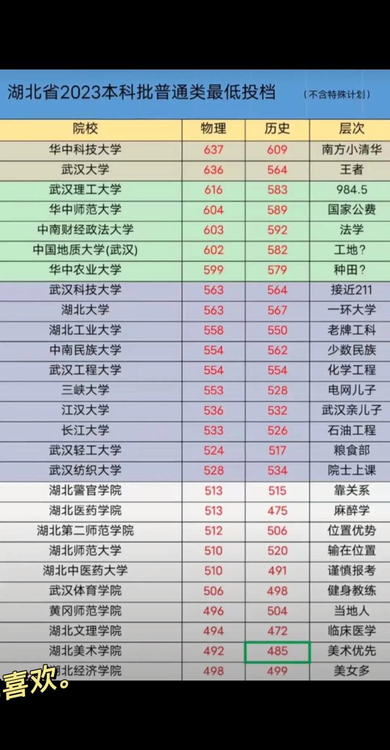 湖北高考各校分数线