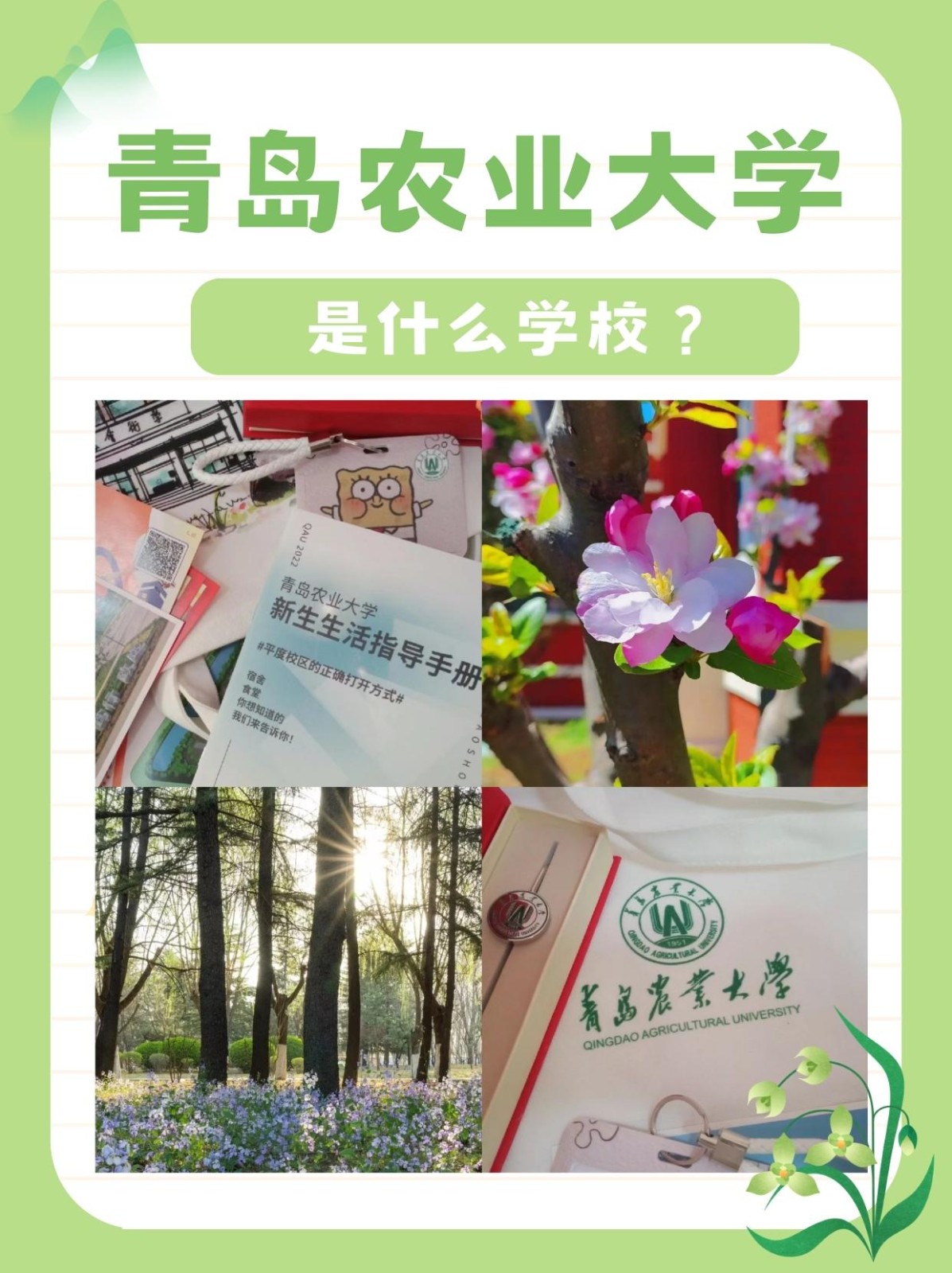 青岛农业大学综合教务管理系统-强智科技：jwglxt.qau.edu.cn/