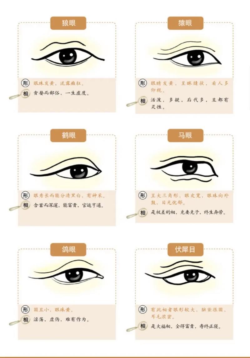 另眼相看的意思