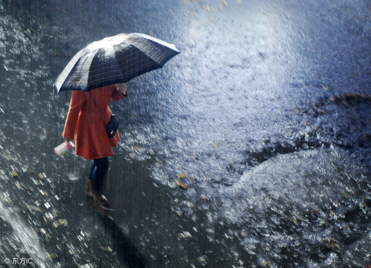 风雨飘摇