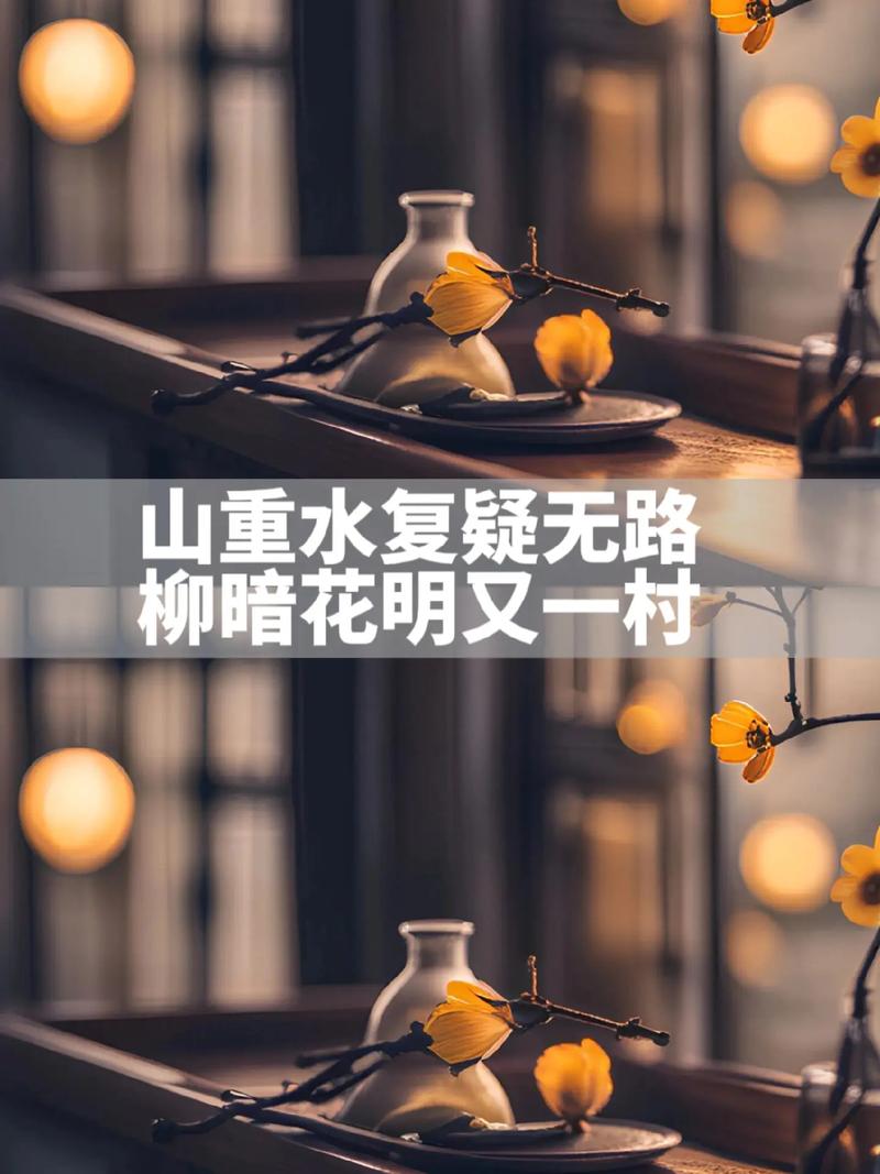 柳暗花明又一村的意思