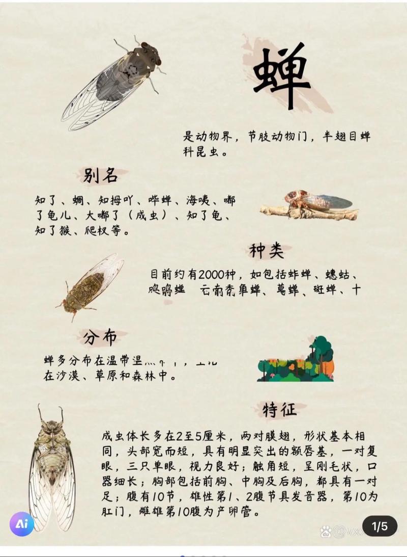 金蝉脱壳是什么意思