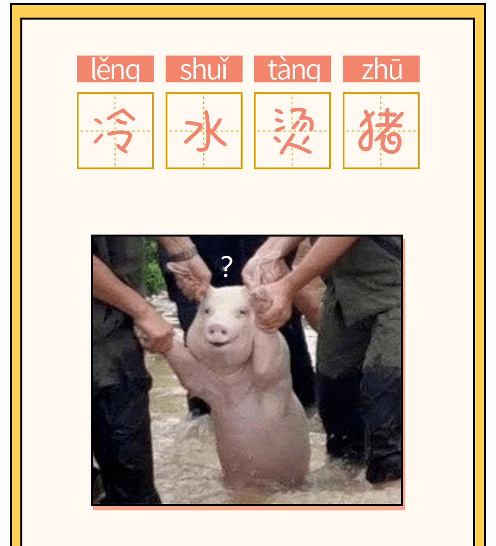 冷水烫猪是什么意思啊