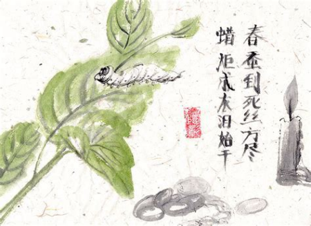 春蚕到死丝方尽的意思