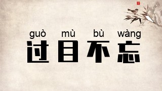 过目不忘
