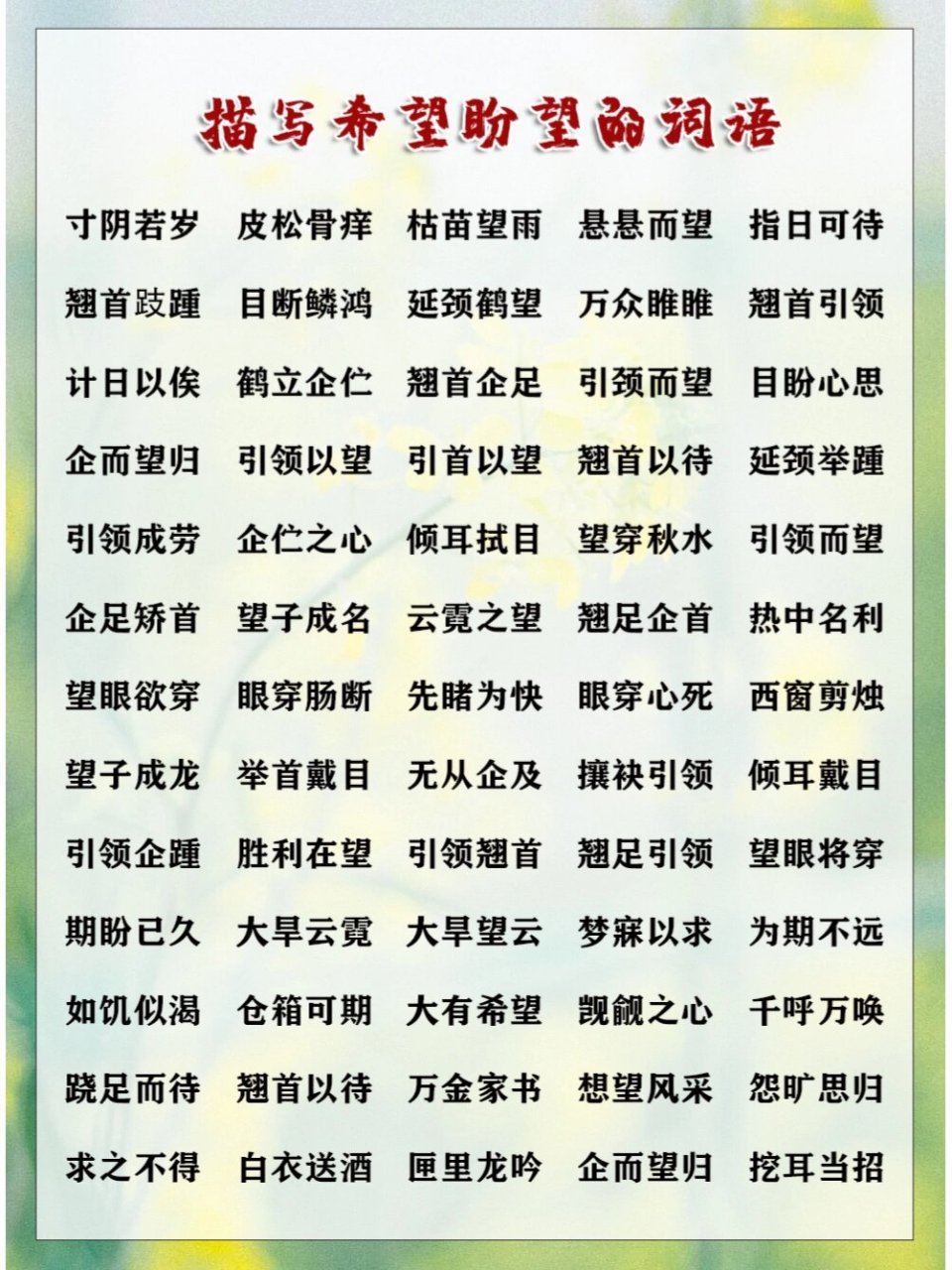 顾盼自豪