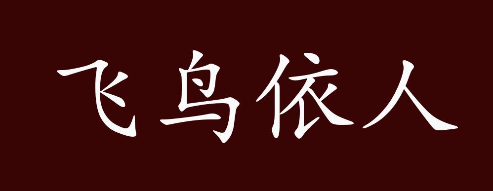 飞鸟依人