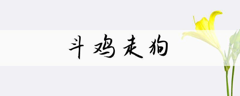 斗鸡养狗