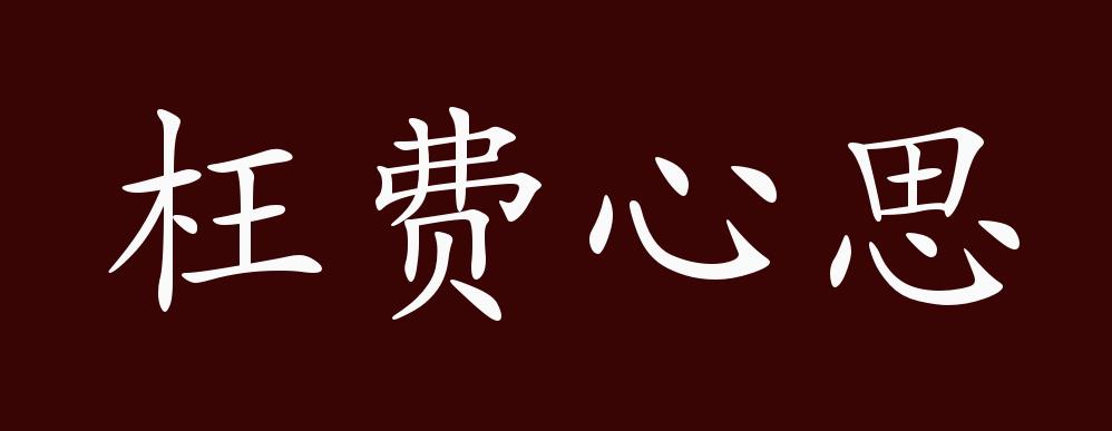 枉费心思