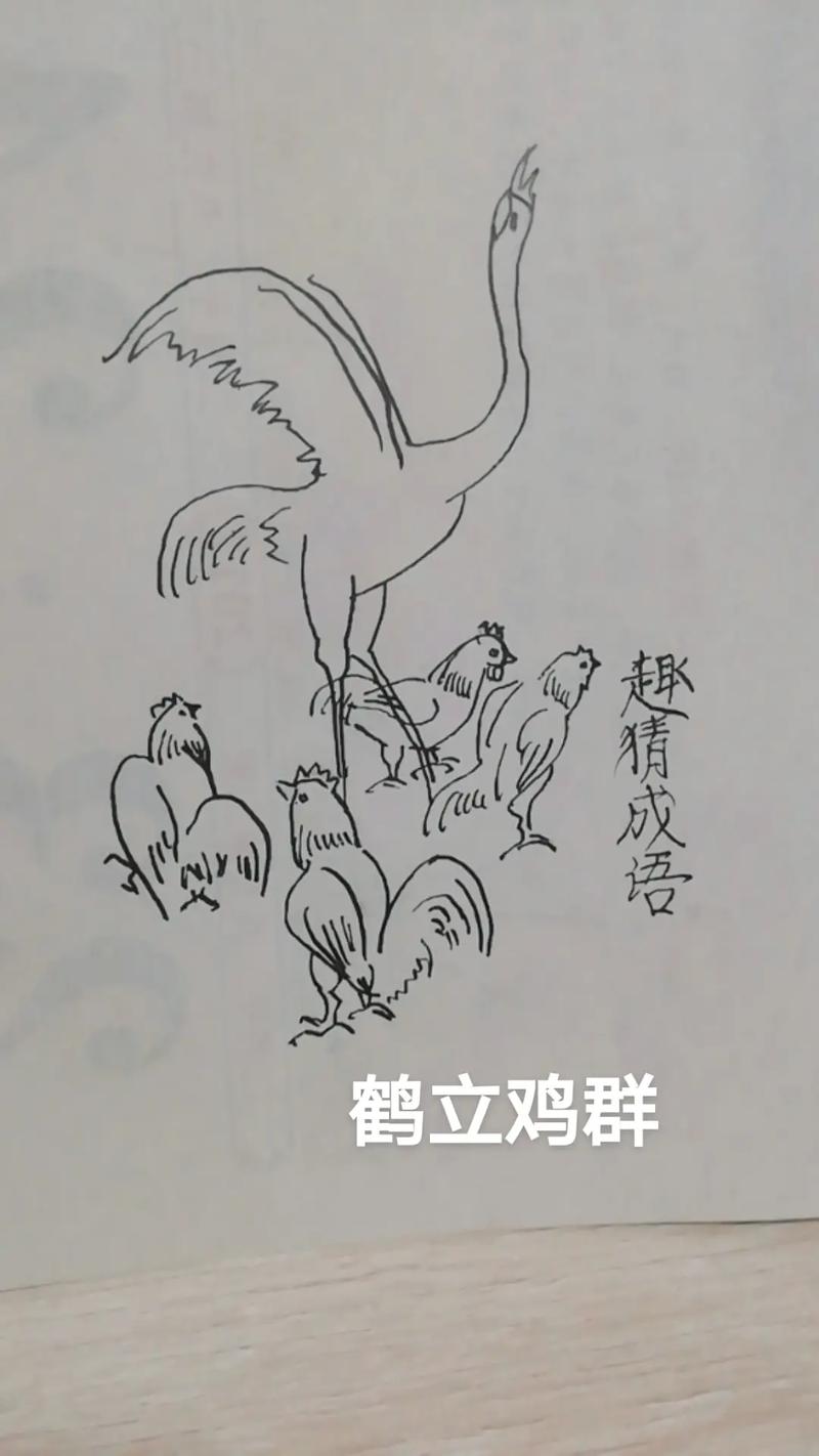 鹤困鸡群