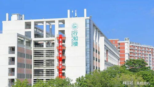 合肥职业技术学院护理专业怎么样？2024最新深度解析：从课程到就业，这篇攻略讲透