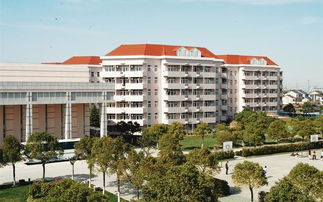 上海海关学院英语专业怎么样